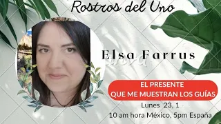 Elsa Farrus, El presente que me muestran los guías