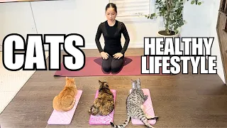 My Cats Try to Live a Healthy Lifestyle!