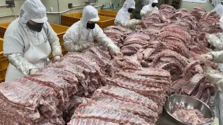 10평에서 시작해 이제는 전국 150개 매장! 월 100톤씩 생산하는 역대급 등갈비 BBQ 공장 / Amazing korean barbecue pork ribs factory
