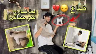 وصلت 2 مليار مشاهدة بفضل قط (قصة نجاح روناس )ضياع شيخو !