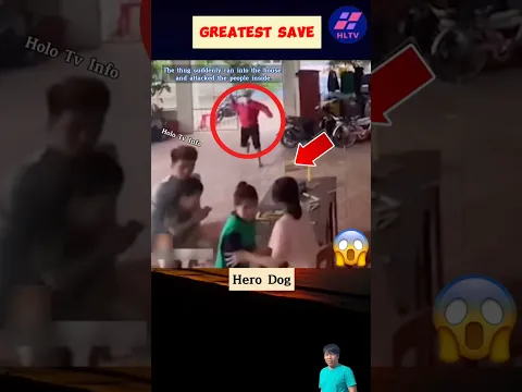 Respect💯 Greatest Save🐕‍🦺 #shorts #short #status #humanity #viral