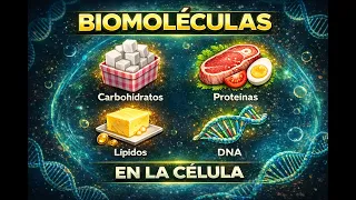 Las biomoléculas explicadas fácil | Carbohidratos, proteínas, lípidos y ADN