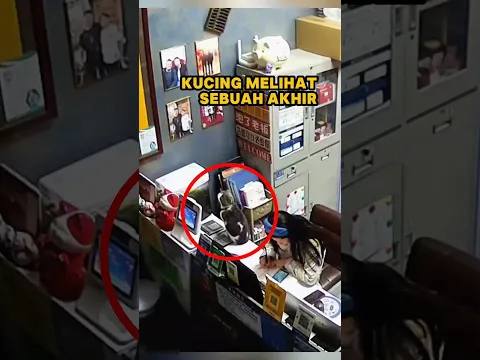 Kucing ini Sempat Pamit Sebelum Dia Pergi