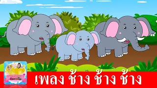 เพลงช้าง ช้าง ช้าง น้องเคยเห็นช้างหรือเปล่า | เพลงช้าง 2565 เสียงเด็กร้อง