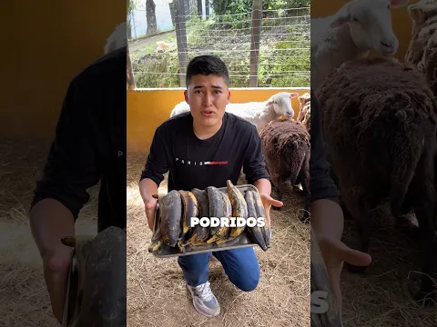 Arepas de plátano!!!🍌🤯