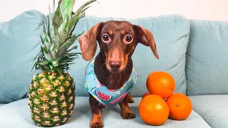 GREEN VS ORANGE! WHAT WILL CHAPI CHOOSE?