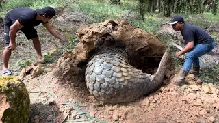 MENGGEMPARKAN PENEMUAN HEWAN PALING LANGKAH DI DUNIA !!!