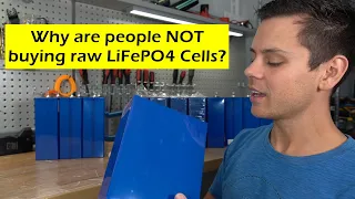 Why are people NOT buying raw LiFePO4 cells?