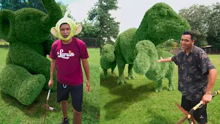 LOS AROBOLES DE LARIN JR LOS TIKTOK MAS VIRALES DE LARIN