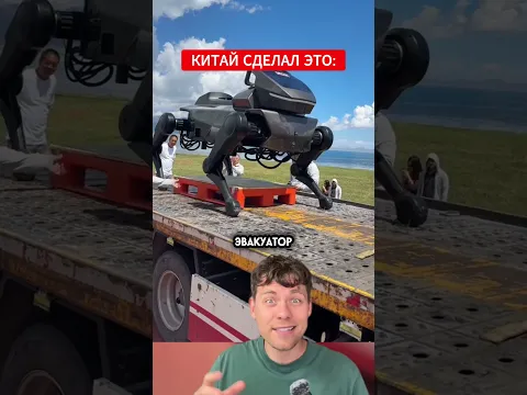 Это тот самый робот-конь, о котором все говорят