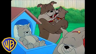 Tom & Jerry in italiano 🇮🇹 | Il miglior papà cane di sempre 🐶 | Festa del papà | @WBKidsItaliano​