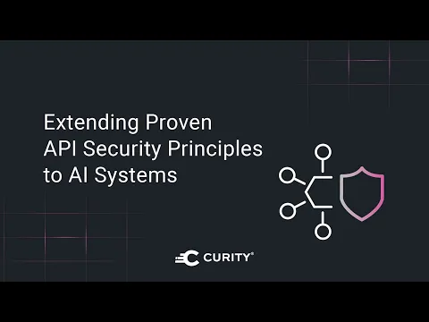 Extending Proven API Security Principles to AI Systems