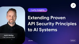 Extending Proven API Security Principles to AI Systems