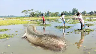 Best Fishing Videos By Teta | Traditional Teta Fishing | Group Fishing || Hunting By Masti