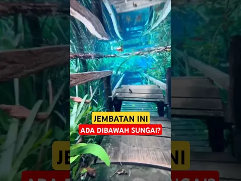 3 Sungai Terunik Didunia, Nomer 3 Ndak Bahaya Ta😱