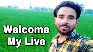 Welcome My Live Real Boy 11