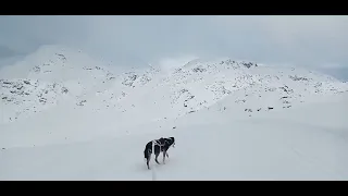 Nuuk year 2021