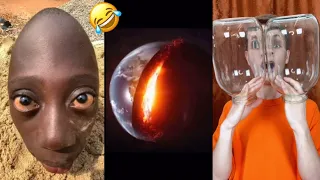 Funny Videos Collection from TikTok