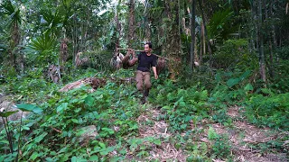 Countless wild boars fell into the traps | LIVING OFF THE GRID | Episode 80