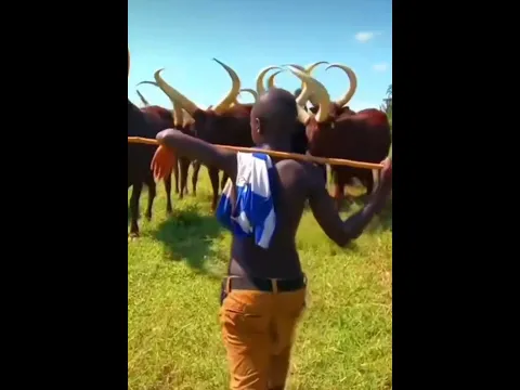 When you see HetHeru/Hathor manifestation!