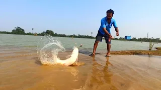 Unbelievable Fight with 10 Kg WHITE Rohu Fish with MAGIC Bait | Hook Fishing in Lake | Best Fishing