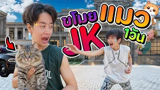 ขโมยแมว JK พีคขั้นสุด !! (งานนี้มีคนร้องไห้ 555+)