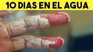 Esto es lo que pasa despues de 10 dias bajo el agua