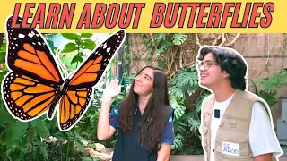 Butterfly Pavillion Tour FOR KIDS