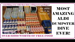 Dumpster Diving Dreams Come True! Fresh from the Fridge ~ Dairy in the Dumpster ~ Over $1000 Worth!