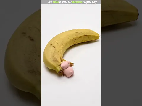 Piggy Eating Banana 🍌 | New Viral Gadgets, Smart Appliances, Kitchen Utensils/ Home Inventions