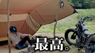 キャンプ中に薪割ってたら中から高級食材が……！！