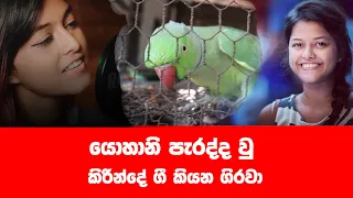යොහානිගේ හඩ පැරදු කිරින්දේ ගී කියන ගිරවා