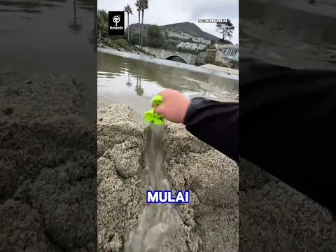 jangan pernah lakukan hal ini saat berlibur ke tepi pantai!