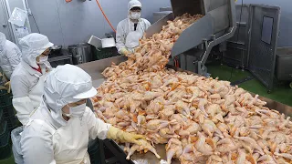평소에 보기힘든 식품공장의 대량생산5편 몰아보기 통합본 / Special sight! Food factory Mass production