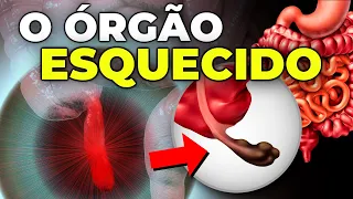 O ÓRGÃO INÚTIL DO CORPO que SURPREENDEU os CIENTISTAS