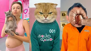 CRAZIEST Cats Compilation 😻😂 l Try Not To Laugh At These KITTENS 2026