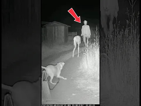 Dog Confronts Skinwalker At The Barn, What Happens Next Is Terrifying 😱🫣 #god #viral #shortvideo