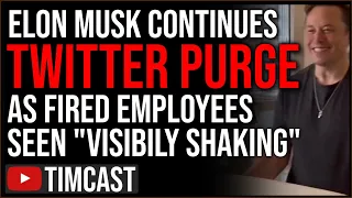 Elon Musk PURGE Continues As Fired Employees Seen Visibly Shaken, Elon Announces Moderation Council