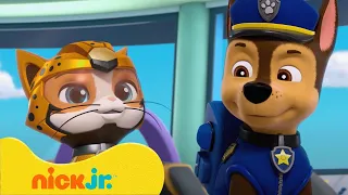 دوريات المخلاب | أفضل مغامرات وعمليات الإنقاذ مع فريق القطط من دوريات المخلاب | Nick Jr. Arabia