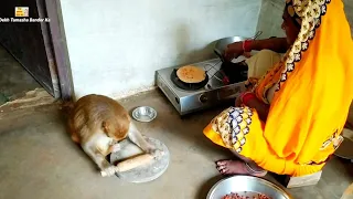 मंकी रानी और मम्मी दोनों लोग खाना बना रहे हैं।।monkey Rani with mummy cooking I love Animals