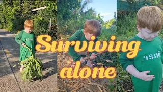 Surviving alone #survivor #nature 