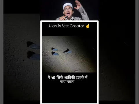 Allah is best creator 🫡