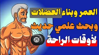 تأثير العمر على بناء العضلات وحرق الدهون، وبحث حديث عن أوقات الراحة على الضخامة. تقدم العمر والعضل.
