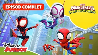 🕸️ EPISOD COMPLET: Păienjenel la puterea a treia / Răbdarea Panterei | Disney Junior România