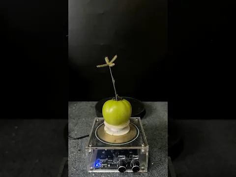 TESLA COIL + GREEN TOMATOES + PLANTS