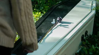 Memento Mori