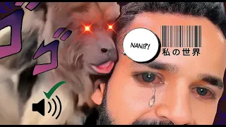 Bichinhos que nos entendem 2