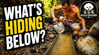 Mystery in the Wild | What Did I Discover Hidden Below?