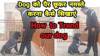 Dog को पैर छूकर नमस्ते करना कैसे सिखाएं | How to trand our dog | Dog Tranning Tips | Dog lover god