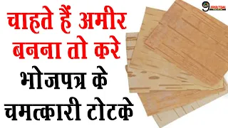 इस साल बनना चाहते हैं अमीर, तो कर लें भोजपत्र के चमत्कारी टोटके || Bhojpatra Totke
